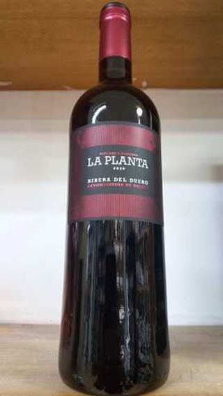 Vino La Planta (75 Cl.)
