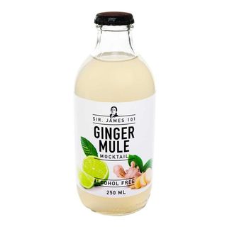 Ape analcolico gusto ginger mule 25cl.