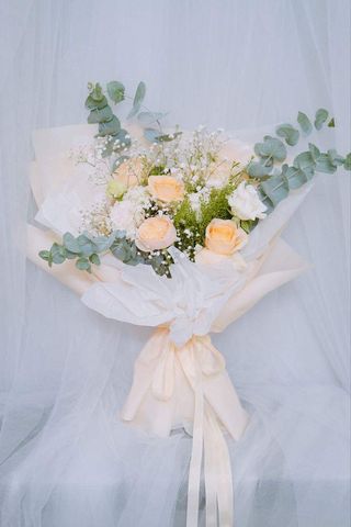 ვარდი ევკალიპტი გიფსოფილა 