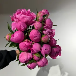 21 півонія 