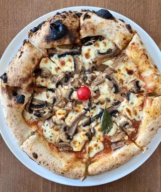 Pizza Funghi