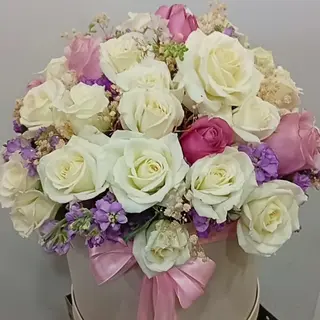 Box mix