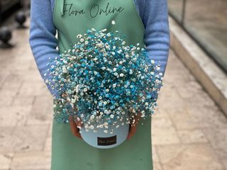 ლურჯი გიფსოფილები (ზომა S)