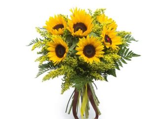 Bouquet 7 girasoli