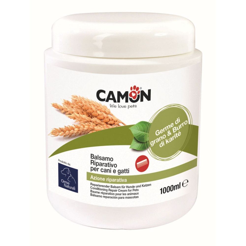 Higijena i kozmetika mačke