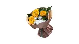 ჰერბერა და ქრიზანტემა