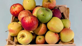 ვაშლი, საკუთარი ბაღებიდან , 1 კგ