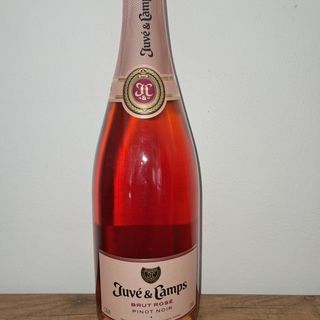 JUVÉ & CAMPS ROSADO