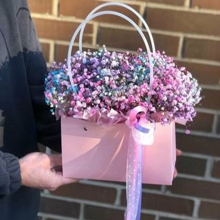 გიფსოფელა