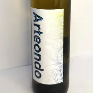 Txakoli Vizcaino Arteondo