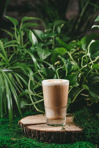 АЙС ЛАТТЕ НА АЛЬТЕРНАТИВНОМ МОЛОКЕ  (350 мл.)