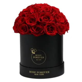 Rosa rosse in scaltola Rotonde (grande)