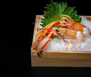 56 Sashimi scampi