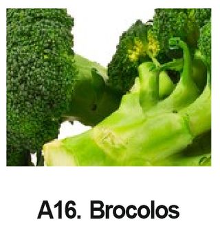 A16. Brocolos
