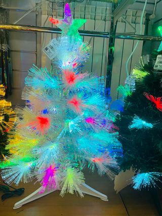pinus artificiale