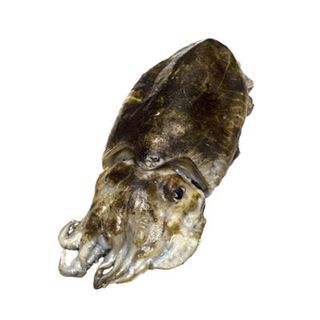 Sépia Mediterráneo de (500 gr) limpia i entera. 