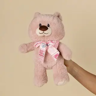 Peluche osito its a girl
