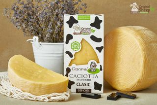 Cașcaval Caciotta din lapte de vaci, clasic 