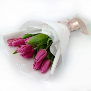 11 тюльпанів