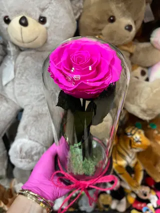 Crio Ciclam Rose