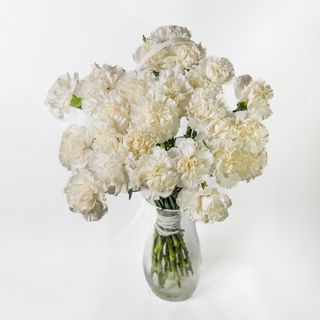 Bukiet z goździków 