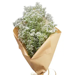 Ramo de paniculata