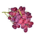 Uva Negra Sin Pepitas Bandeja (Aprox. 500 Gr.)