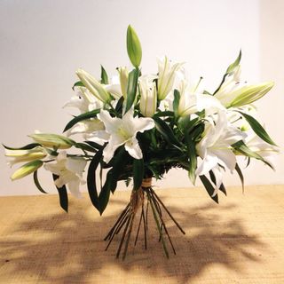 Seis Lilium Blanco Con Paniculata