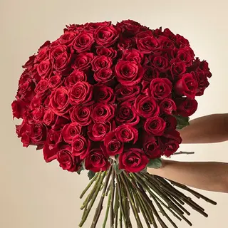 Ramp 50 rosas rojas