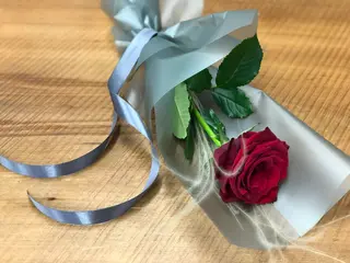 ვარდი