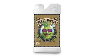 BIG BUD COCO - 1ლ