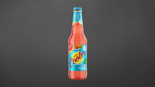 URSUS COOLER CU GRAPEFRUIT 330 ML