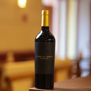 Вино A Pasito Lento, Tempranillo, червоне напівсолодке 750мл