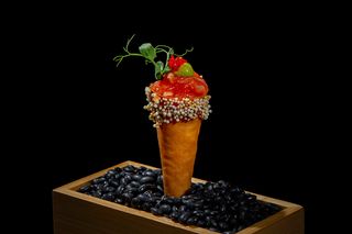 Cono Kon De Salmón (1 Ud.)