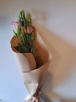 Lizijantus rozi 1 kom.