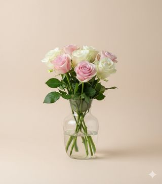 Троянди сорту Атена