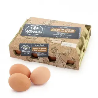 Huevo Suelo L-Xl Docena Carrefour