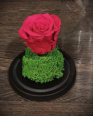 Trandafir roz inchis