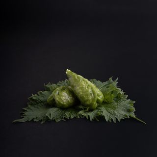 Ravioli di verdure alla griglia - 4 pezzi