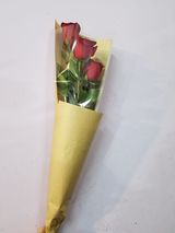 წითელი ჰოლანდიური ვარდი, 3 ტოტი