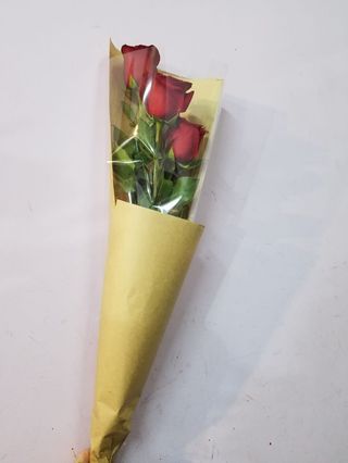 წითელი ჰოლანდიური ვარდი, 3 ტოტი