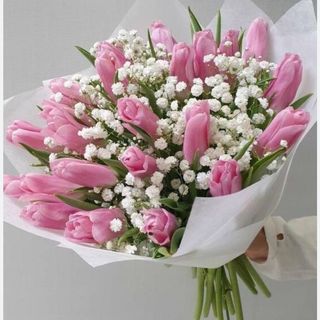 Bukiet n.60  z tulipanow i gipsówki 