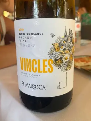 Vincles 2023