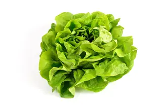 Zelena salata