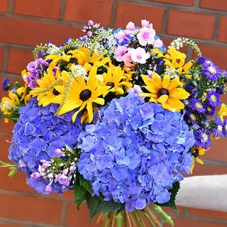 Bukiet żółto-niebieski