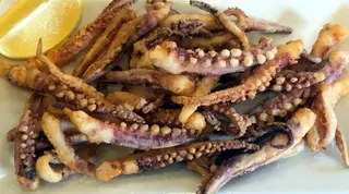 Patitas De Calamar (Tapa)