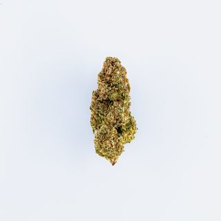 Zushilato 2G - Indoor