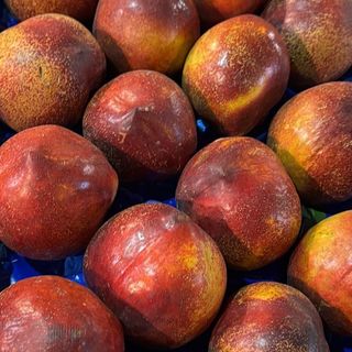 Pesche noci ( nettarine) 