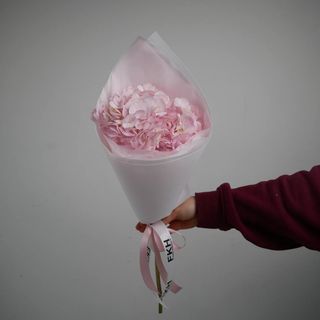 Гортензія рожева