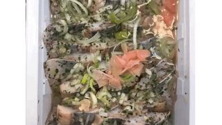 Śledź z Imbirem i Porem MARLIN